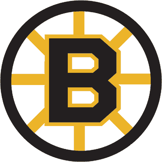 BOSTON BRUINS