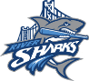CLICK HERE FOR THE OFFICIAL SITE OF THE CAMDEN RIVERSHARKS