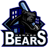 CLICK HERE FOR THE OFFICIAL SITE OF THE NEWARK BEARS